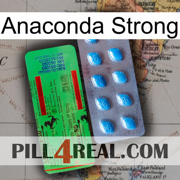 Anaconda Strong new03.jpg